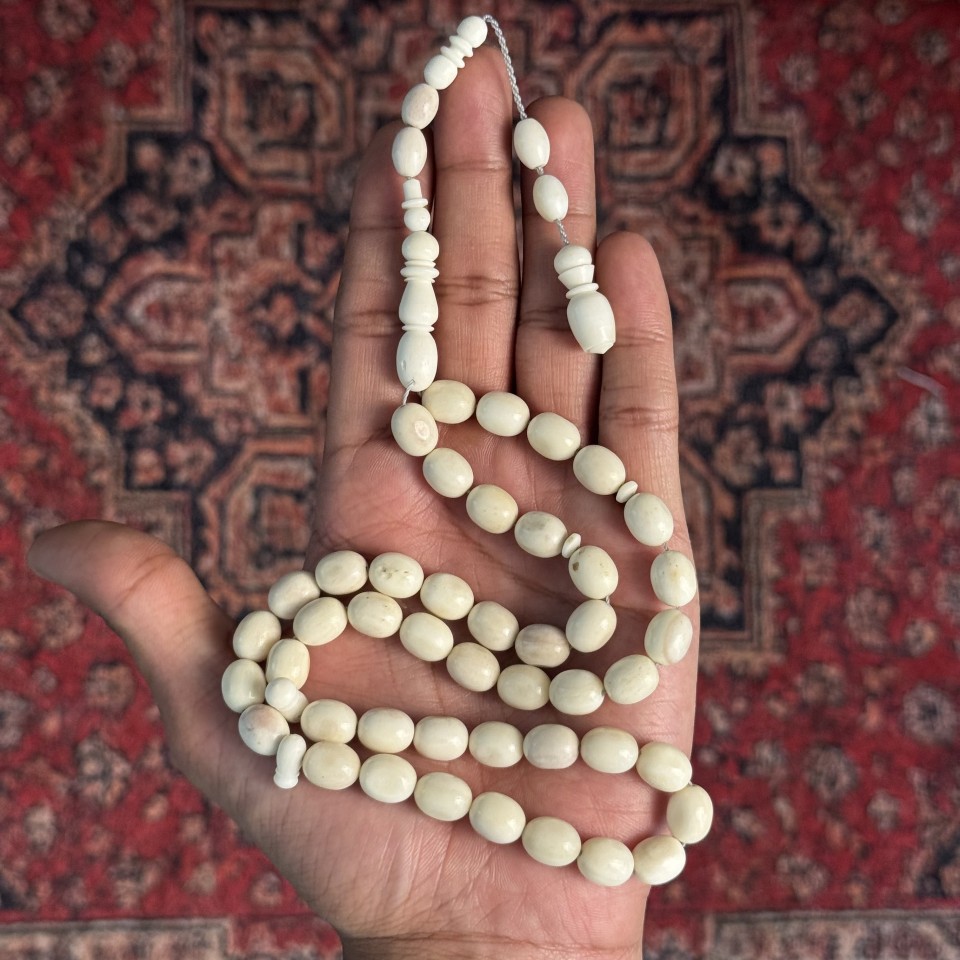 Camel Bone